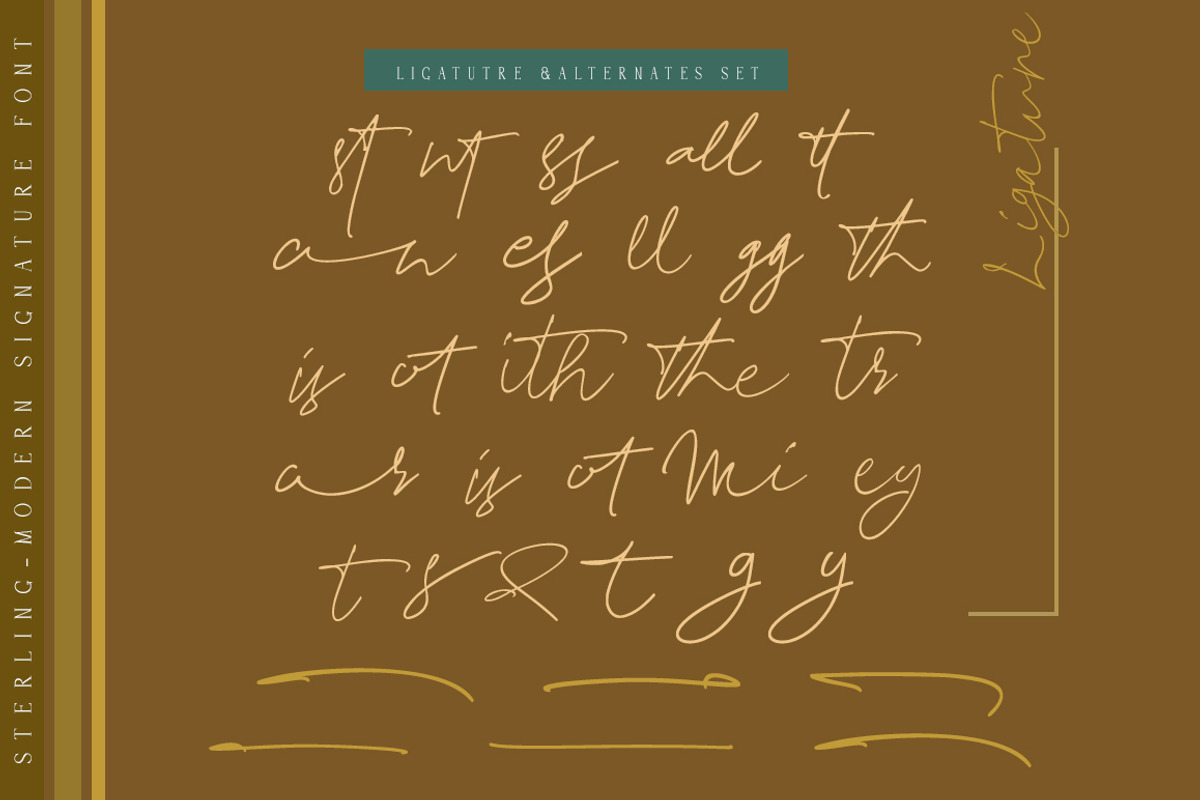 Sterling Script, a Script Font by ALIVECREATIVE (Photo 2 of 6)