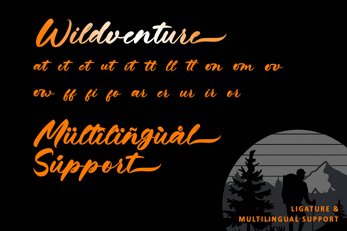 Wildventure, a Handwritten Font by Letterara (Photo 9 of 10)