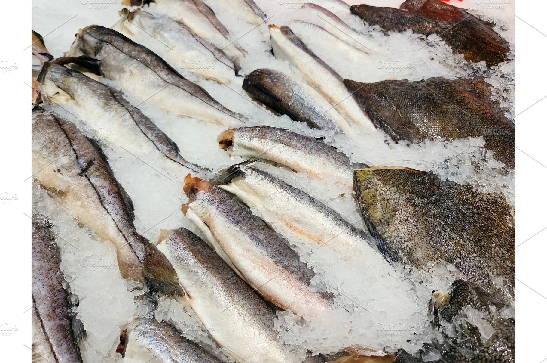 Fresh fish displayed on ice at a, a Food & Drink Photo by darksoul72