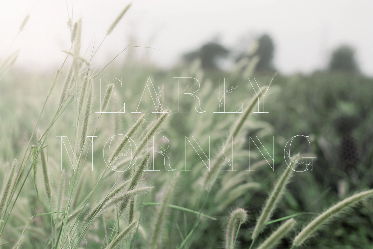 April Font, a Serif Font by Alice_Evans (Photo 3 of 11)