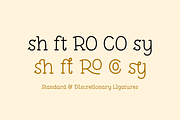 Pleuf Pro - The Complete Family, a Serif Font by Polytype (Thumbnail 7 of 10)