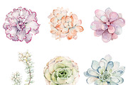Watercolor Succulent Plants, an Object Illustration by ArtbyHien (Thumbnail 3 of 4)