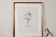 Birth Month Flowers, Botanicals, an Object Graphic by Olya Creative (Thumbnail 5 of 8)