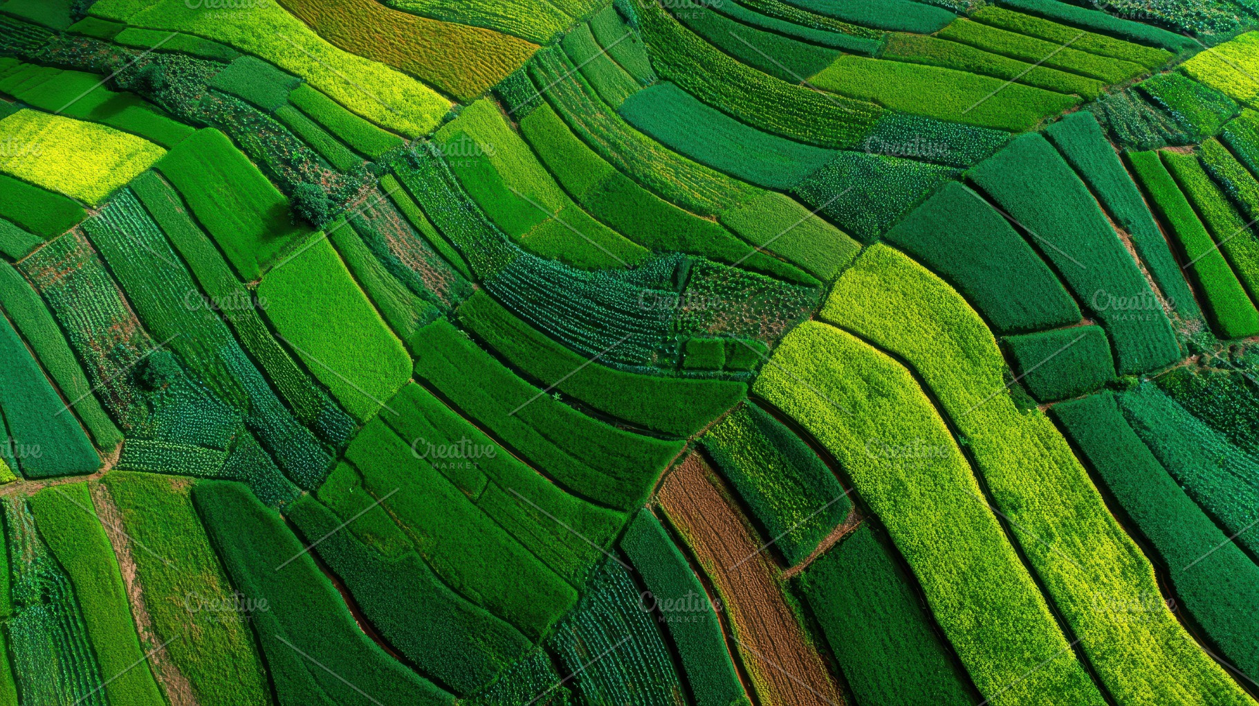 Aerial shot reveals lush green field, a Photo by Pavel_design
