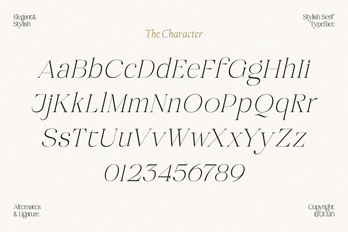 Midnight Obstacle, a Serif Font by Godbless Studio (Photo 14 of 14)
