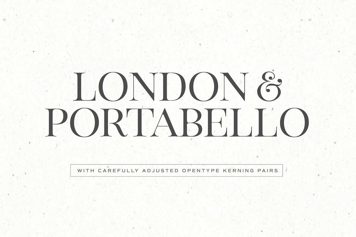 The Stay Classy Font Duo, a Serif Font by Nicky Laatz (Photo 4 of 36)