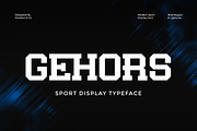 Gehors - Sport Display Font, a Serif Font by Flawless And Co (Thumbnail 1 of 10)