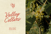 Saltwater Society, a Handwritten Font by supfonts (Thumbnail 11 of 12)