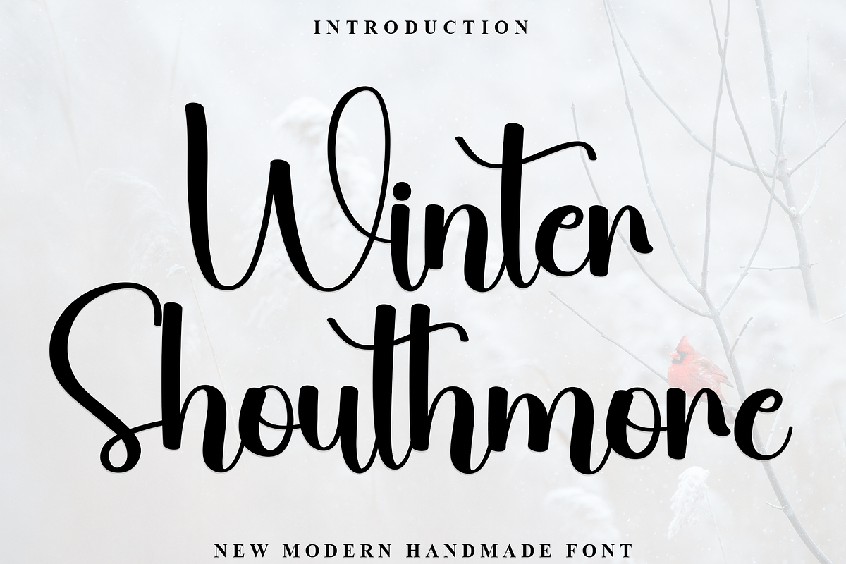 Winter Shouthmore, a Handwritten Font by FreshTypeINK (Photo 1 of 8)