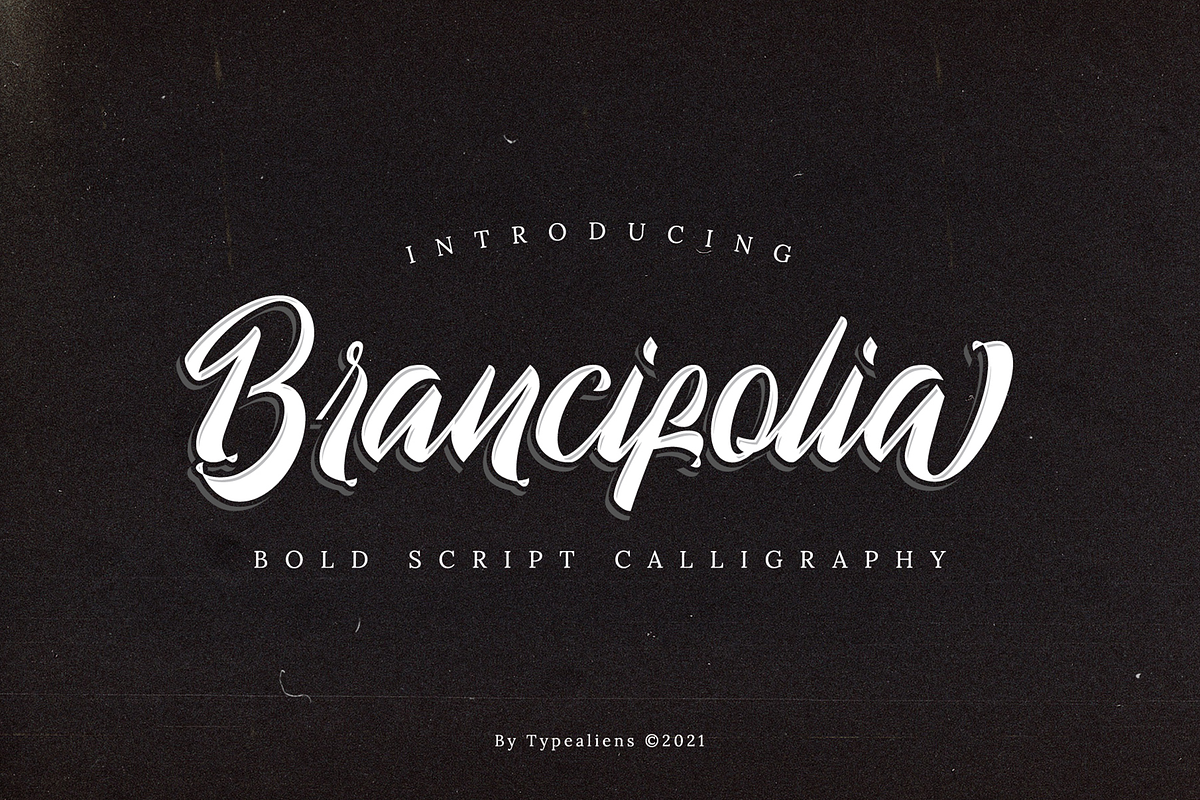 Brancifolia, a Script Font by ilhamtaro (Photo 1 of 11)