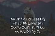 Wolf Claws Font, a Sans Serif Font by yantodesign (Thumbnail 9 of 10)