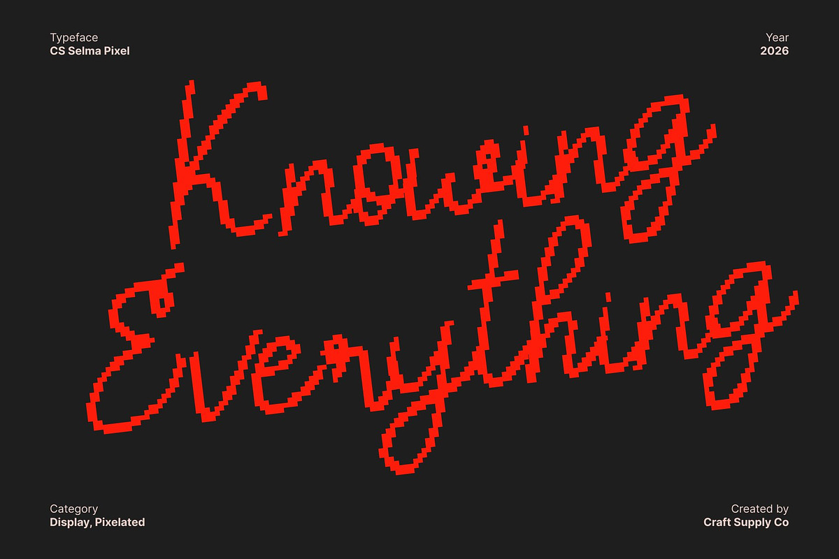 CS Selma Pixel, a Script Font by Craft Supply Co. (Photo 2 of 8)