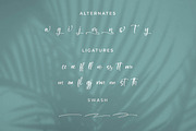 Newscript, a Script Font by Integritype Studio (Thumbnail 10 of 14)