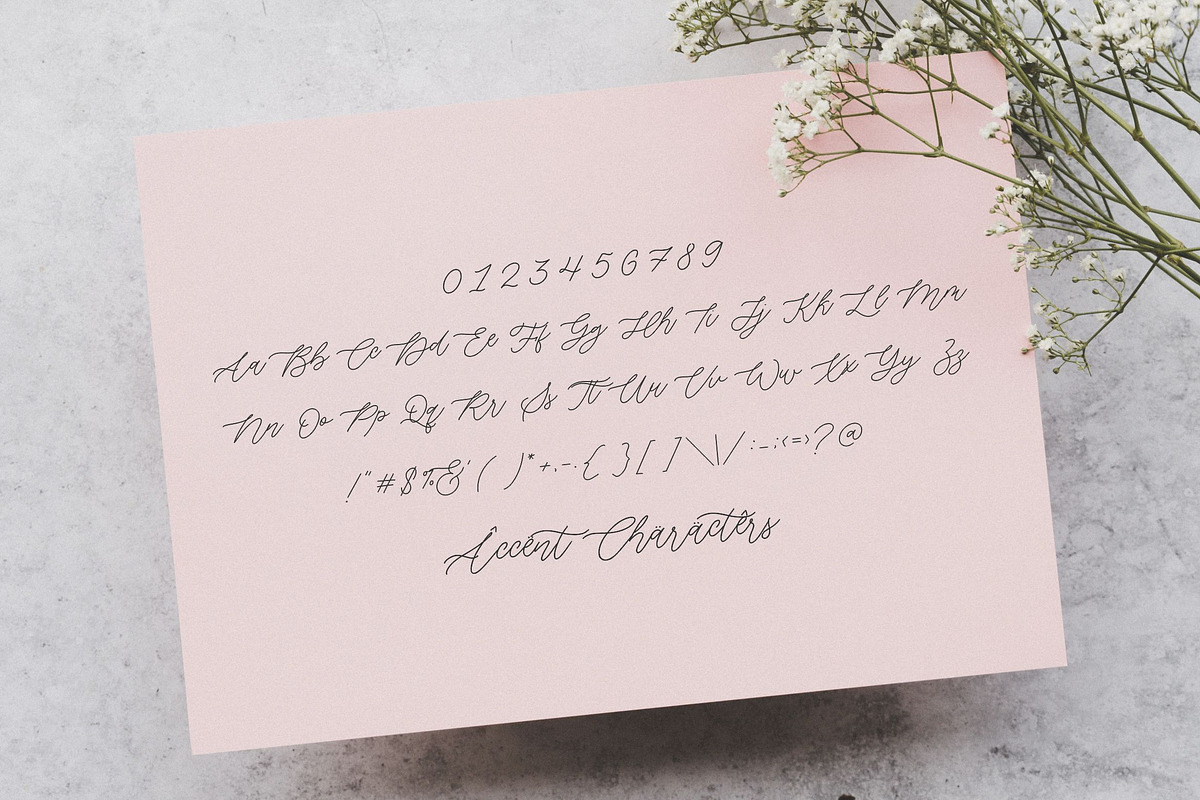 Fairy Lavender - Monoline Font, a Script Font by Balpirick Studio (Photo 6 of 7)