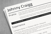 Professional Resume, a Resume Template by Visual Impact (Thumbnail 3 of 3)