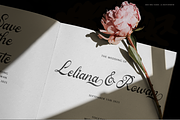 Ratfeylino | Elegant Calligraphy, a Script Font by Denustudios (Thumbnail 2 of 12)