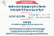 Florista Brushed Font Duo, a Script Font by Anna Ivanir (Thumbnail 9 of 12)
