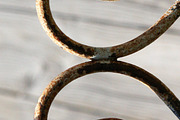 Alphabet Photography Letter E, a Nature Photo by Artistic Letters (Thumbnail 4 of 7)