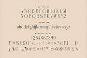 Nebiard Classic Serif Font, a Serif Font by Storytype Studio (Thumbnail 12 of 15)