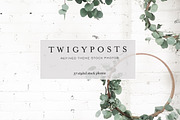 Stock Photos for Wordpress Themes, a Websites & App Template by JanaBishopCollection (Thumbnail 2 of 9)
