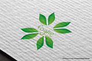 Foglie logos, a Branding & Logo Template by MuzaInspires (Thumbnail 4 of 6)