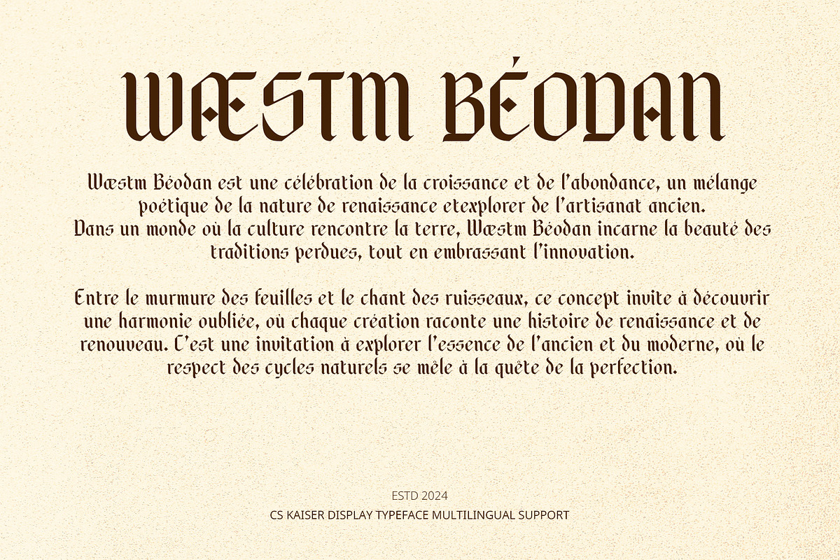 CS Kaiser – Gothic Font, a Sans Serif Font by Craft Supply Co. (Photo 5 of 8)