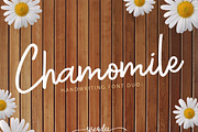Chamomile Script Font, a Script Font by siscxiu (Thumbnail 1 of 6)