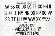 Afternoon, a Script Font by FreshTypeINK (Thumbnail 3 of 7)