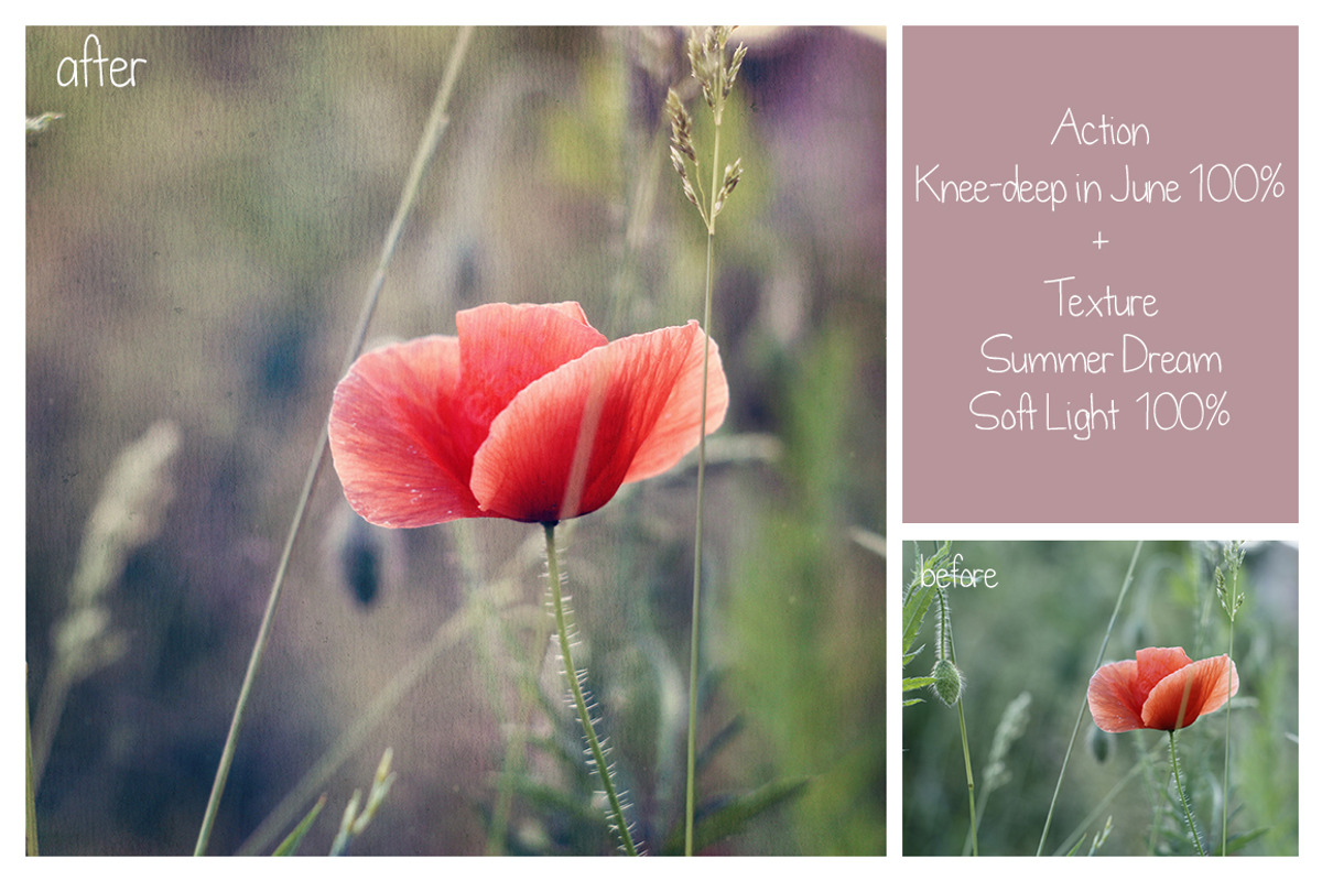 Summer Collection - PS Bundle, an Action Add-On by LovePhotoMoment (Photo 16 of 23)