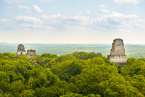 Tikal National Park Guatemala, an Architecture Photo by THP Creative