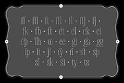 Delgado, a Sans Serif Font by Gaslight (Thumbnail 5 of 5)