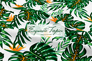 Tropical seamless patterns & leaves, a Pattern Graphic by EltaMaxArt (Thumbnail 7 of 15)