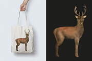 Cute watercolor forest animals, an Animal Illustration by Anntre (Thumbnail 4 of 4)