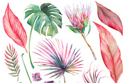 Blooming jungle, an Object Illustration by Eisfrei (Thumbnail 3 of 5)
