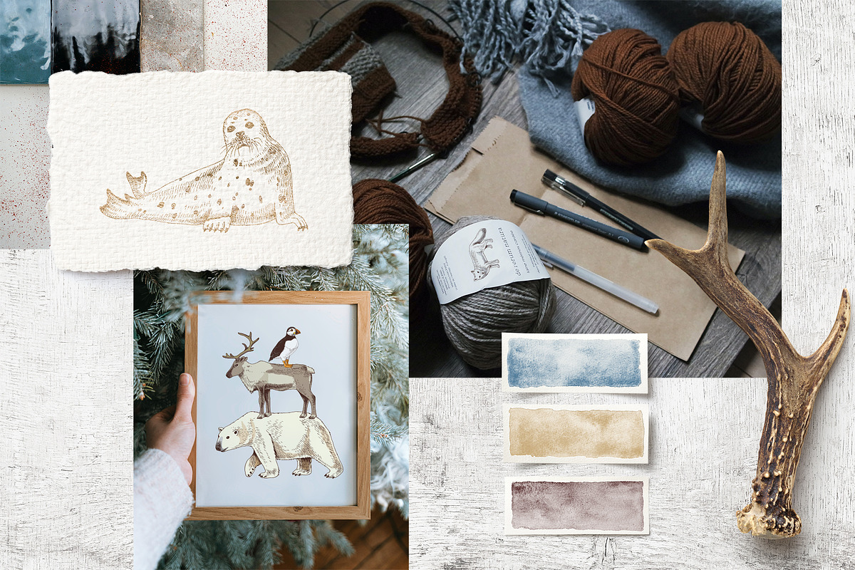 Hand drawn Arctic animals collection, an Animal Illustration by handsketched (Photo 2 of 10)