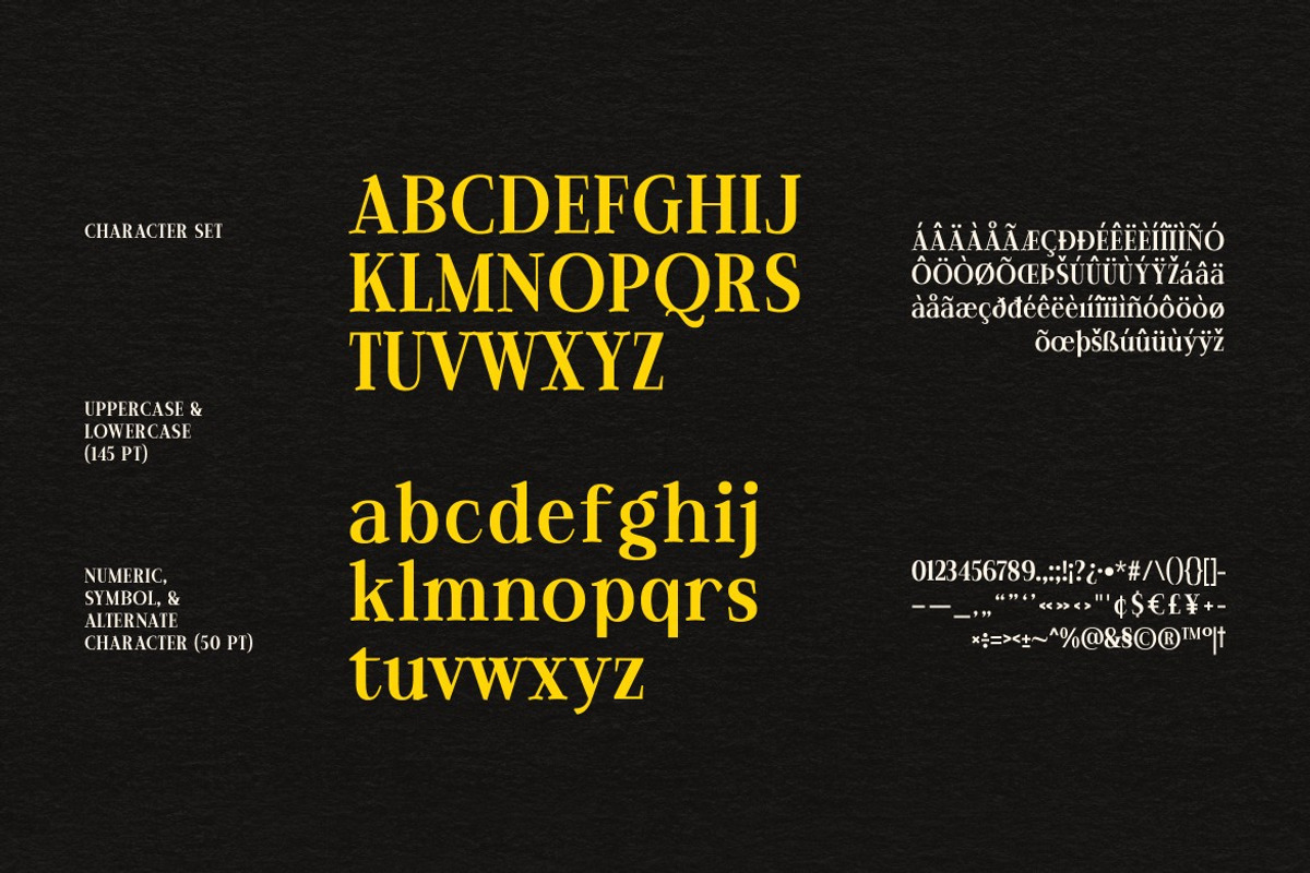 Cloofer, a Serif Font by graphicook (Photo 3 of 10)
