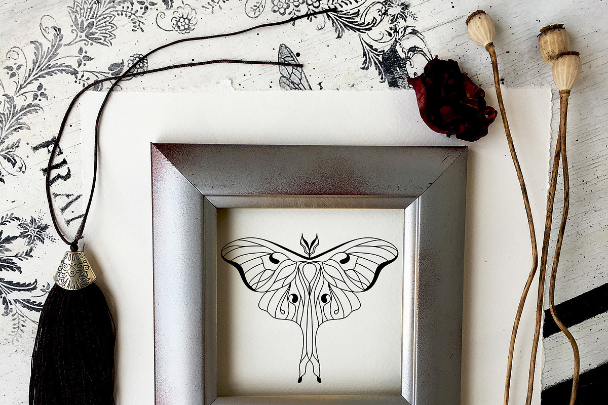 NIGHT MAGIC butterflies women flora, an Animal Illustration by ArtOLB (Photo 13 of 14)
