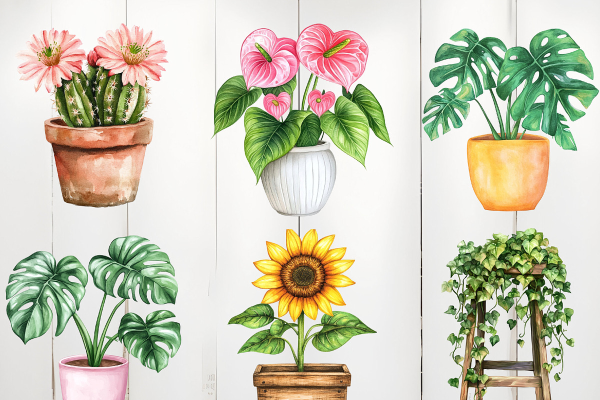 Watercolor Houseplant Clipart, an Illustration by Watercolor design (Photo 2 of 4)
