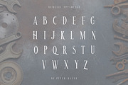 Nemesis Vintage Font, a Serif Font by JumboDesign (Thumbnail 4 of 7)