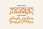Thekaty Nianders Groovy Display Font, a Handwritten Font by Cruzine (Thumbnail 6 of 8)