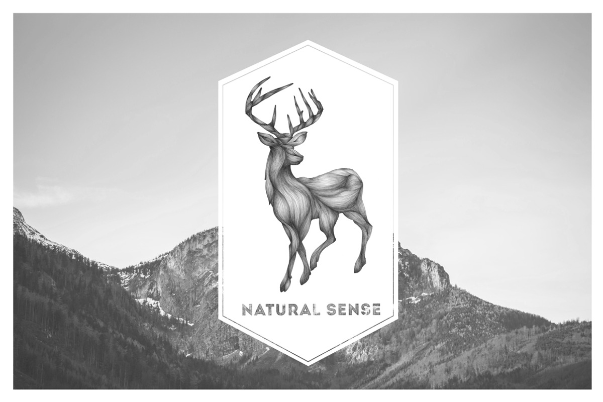 Animals Illustrations, an Animal Illustration by Isbela  (Photo 4 of 5)