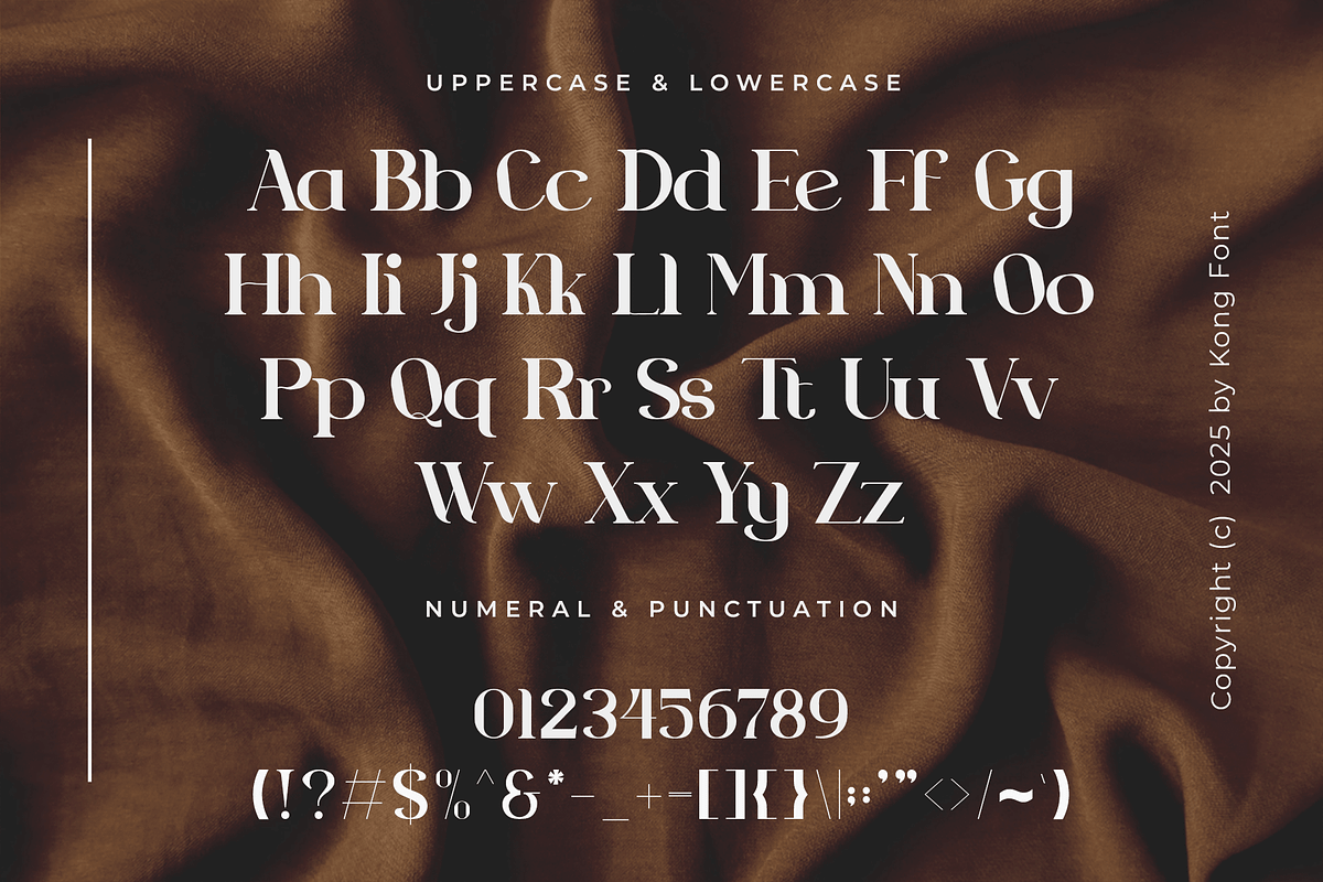 Seroona - Modern Serif Font, a Serif Font by overlaytemplates