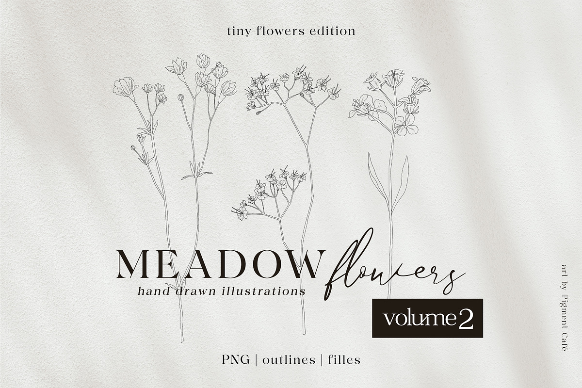 Meadow Flowers Bundle volume 2, an Illustration by Pigment Café (Photo 1 of 6)