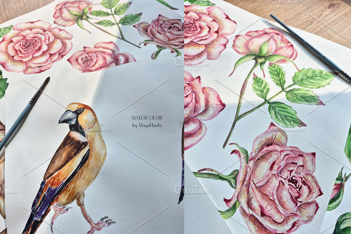 Watercolor Garden Melodies, a Decorative Illustration by MayaNavits (Photo 10 of 10)