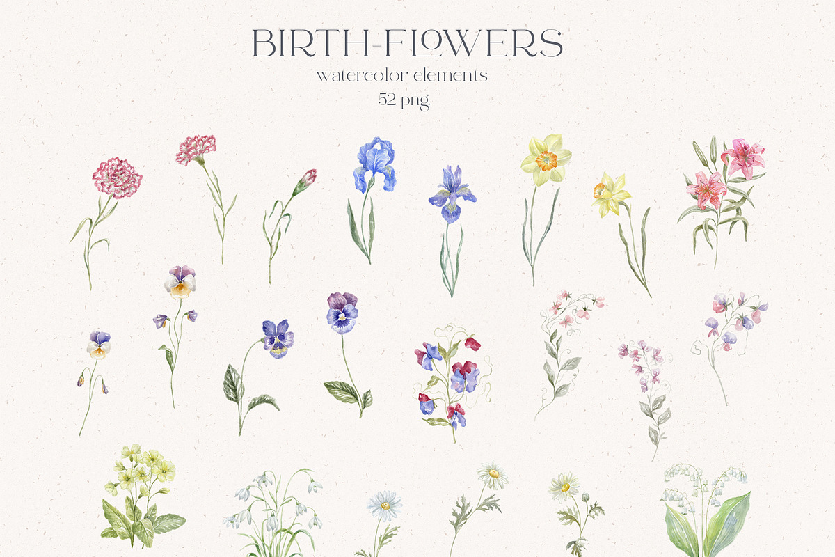 Birth-Flowers. Watercolor & Line Art, a Decorative Illustration by Designwork (Photo 7 of 14)