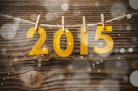 Year 2015 preview 6