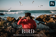 Bird Overlays Photoshop, a Plug-in Add-On by FixThePhoto (Thumbnail 1 of 32)