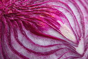 Layers of red onion showing detail, a Photo by Beautiful things