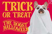 Muffliato - Halloween Display Font, a Script Font by AQR Studio (Thumbnail 4 of 8)