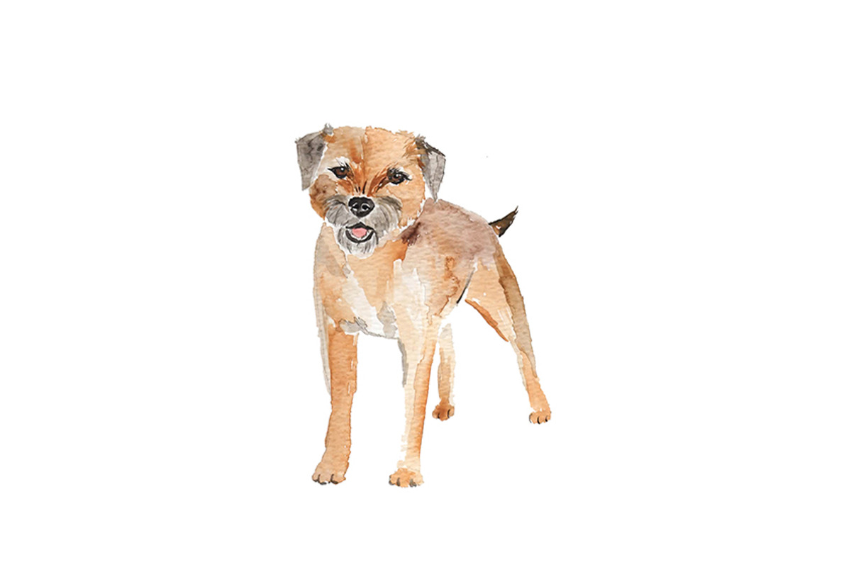 Watercolor Dog Cute Border Terrier, an Illustration by Foxery Digital